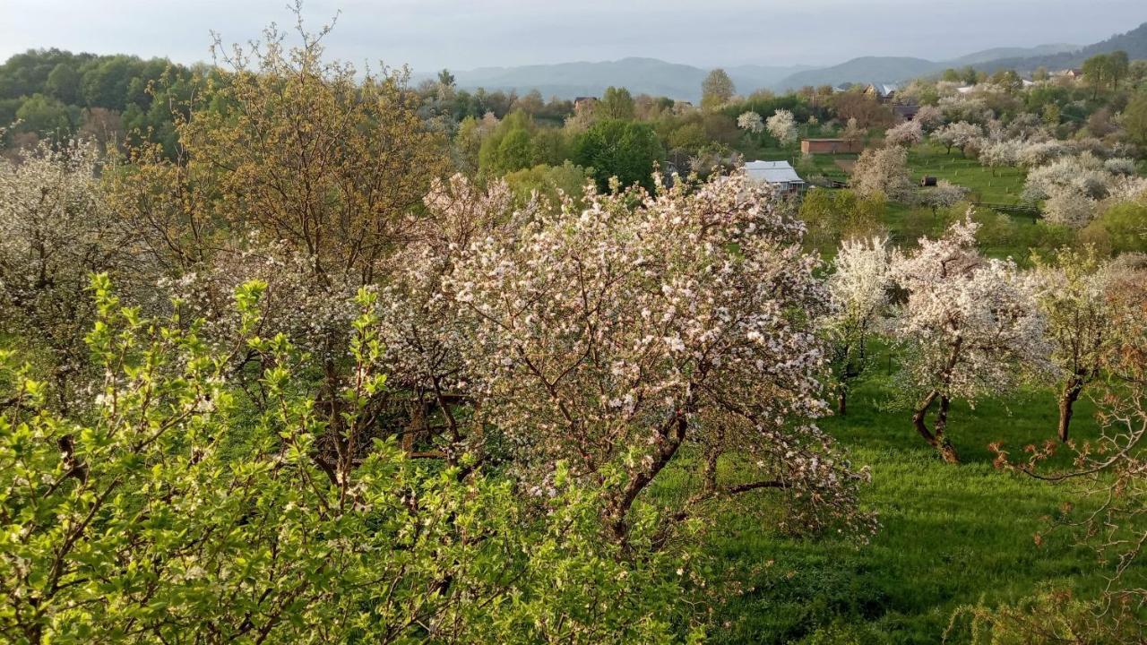 Bat'Kivska Hata Старі Кути Екстер'єр фото